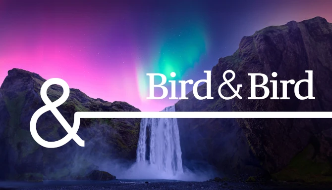 Bird & Bird firmwide brand refresh and support