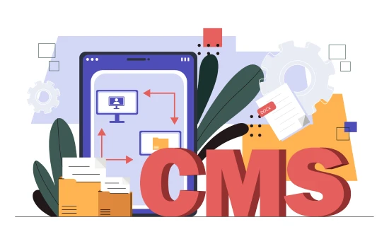 The letters CMS