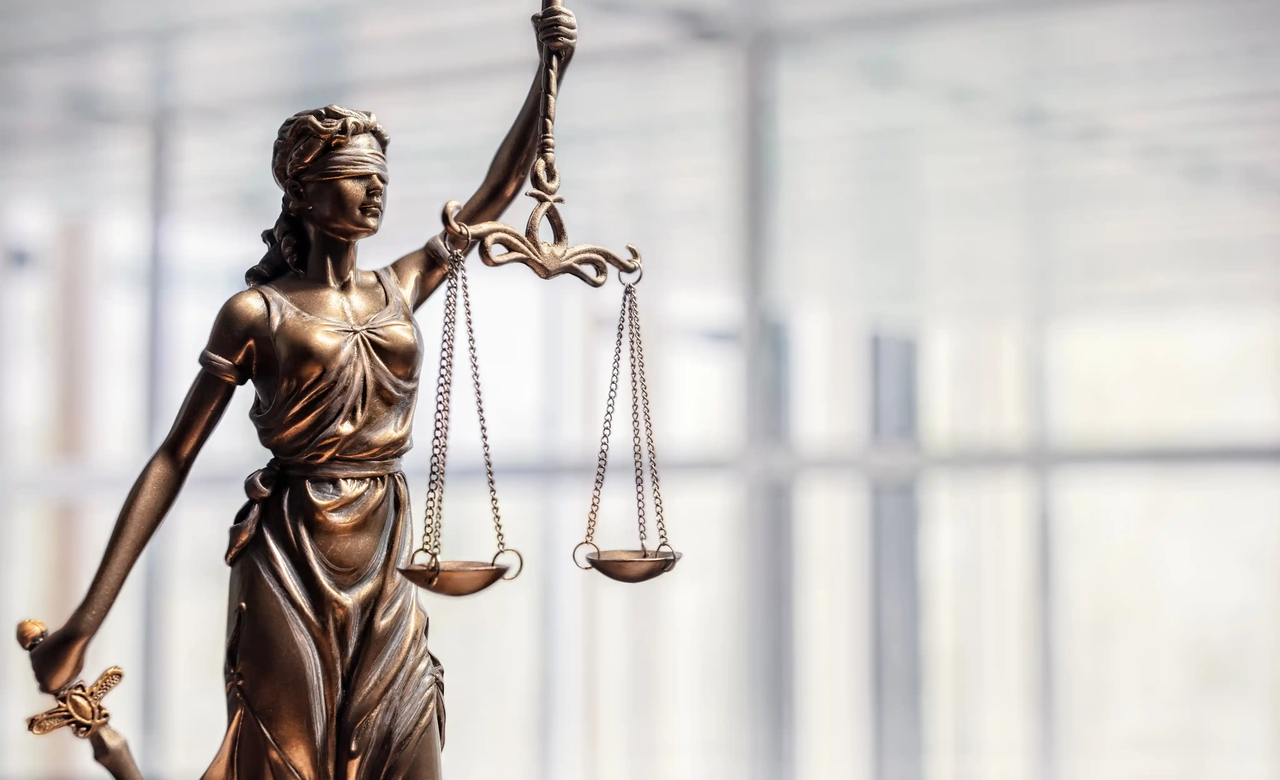 Legal/Law Firms