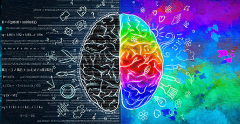 Experience & <br />Insights