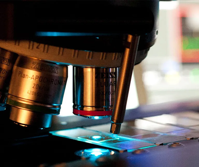 Microscope Focus